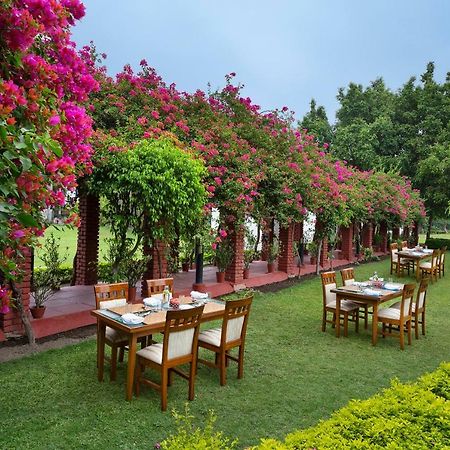 Naturoville Ayurvedic And Yoga Retreat Hotel Rishikesh Exterior photo