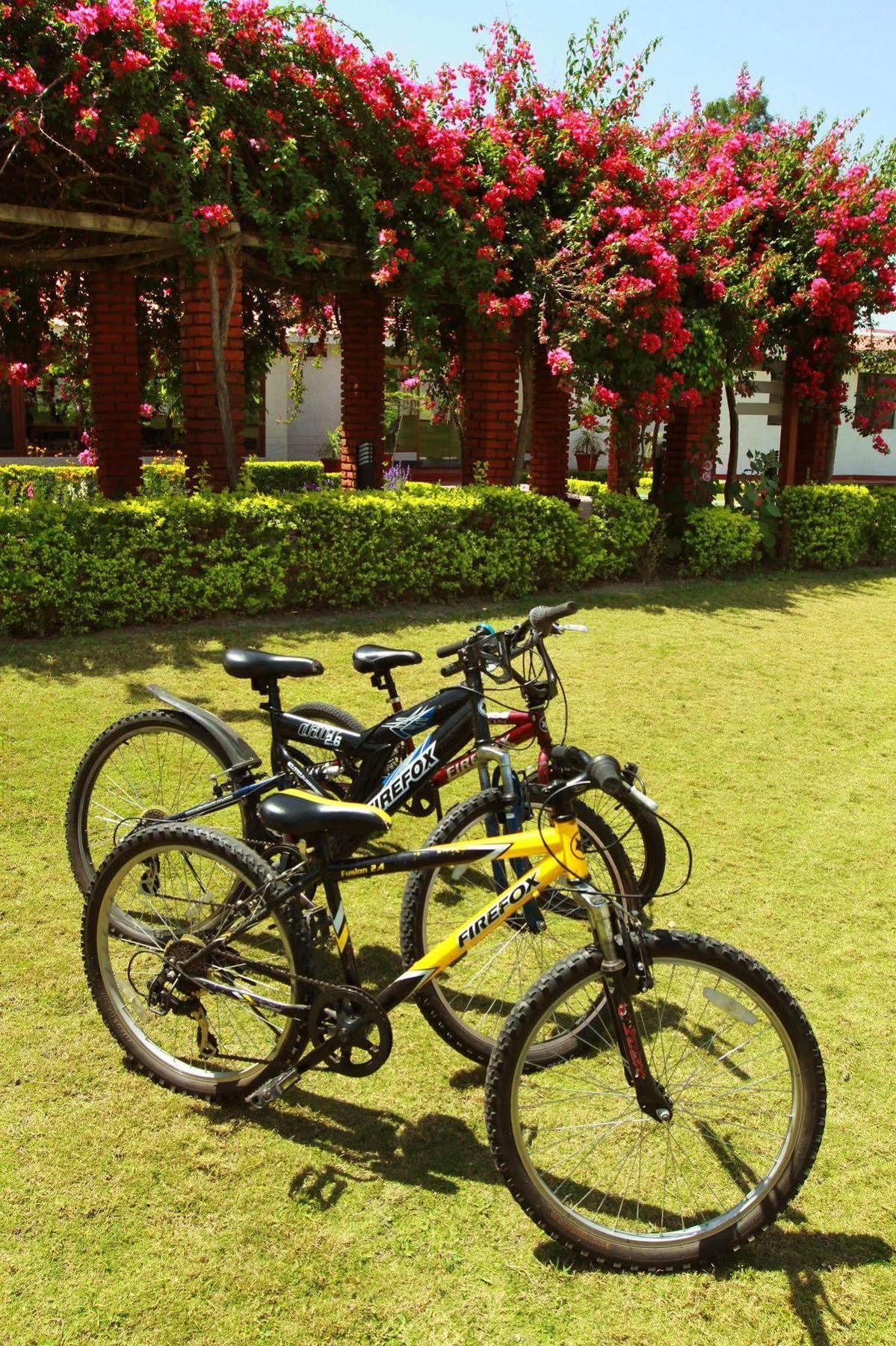 Naturoville Ayurvedic And Yoga Retreat Hotel Rishikesh Exterior photo